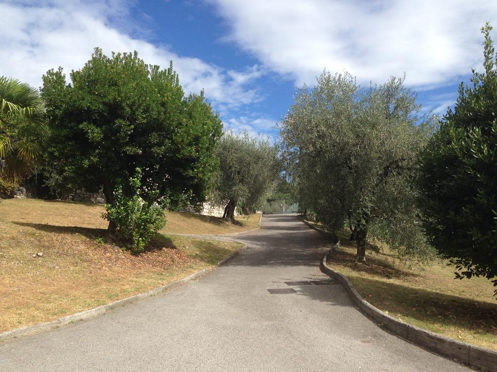 Lake & Castle View Apartment Ρίβα ντελ Γκάρντα Εξωτερικό φωτογραφία